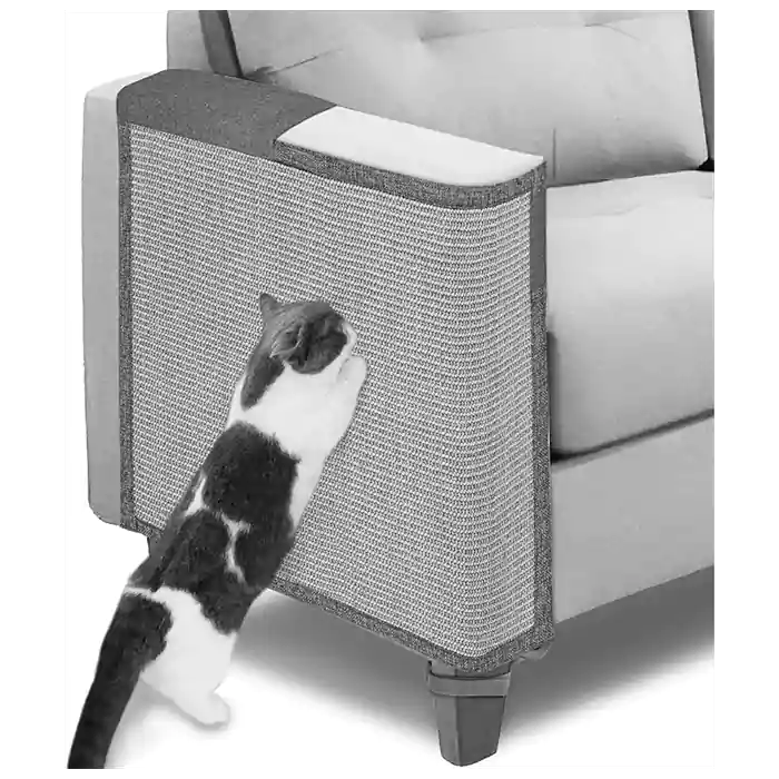 How to protect your sofa fomr cats scratch