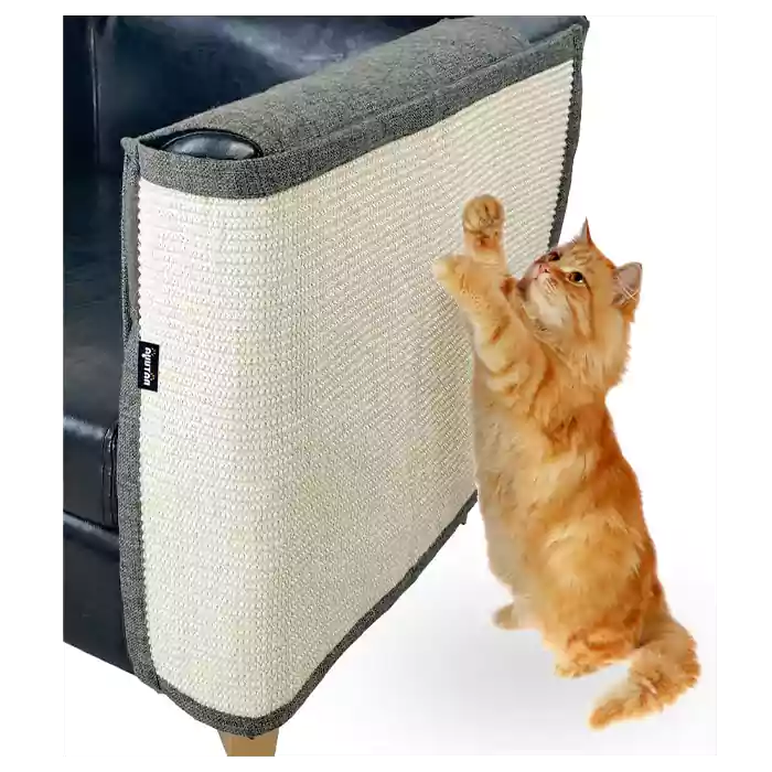 How to protect your sofa fomr cats scratch
