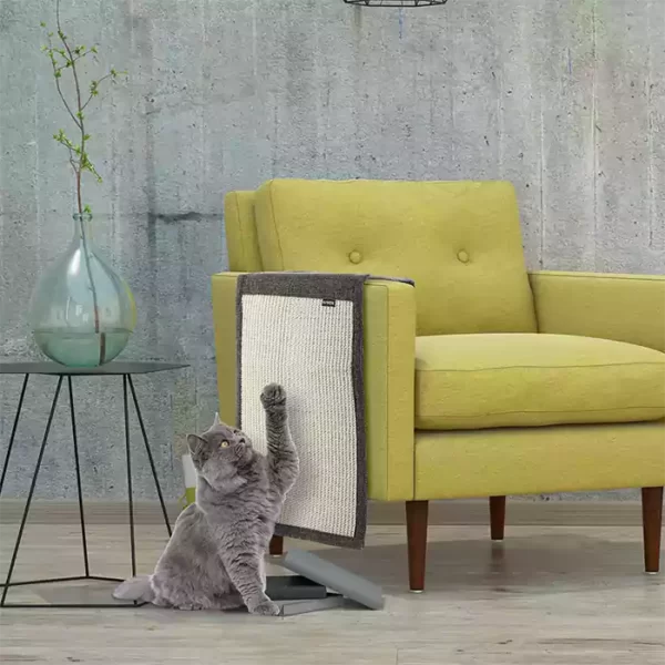 How to protect your sofa fomr cats scratch