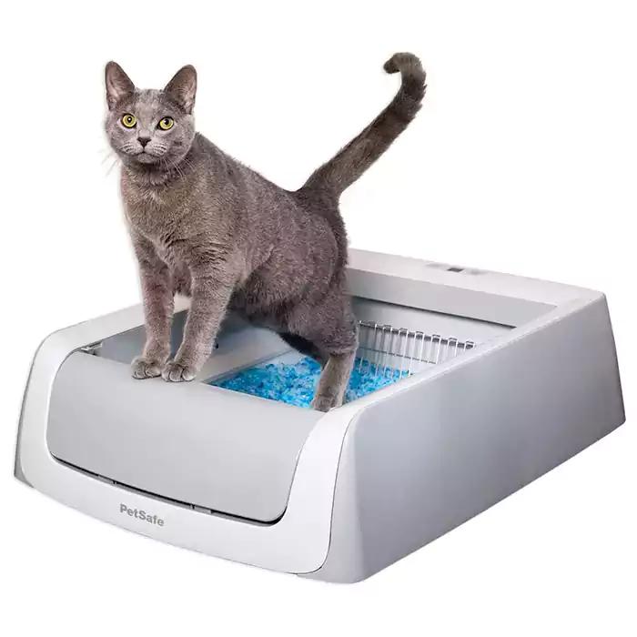 PetSafe ScoopFree Complete Plus Self-Cleaning Cat Litterbox - Hands-No Cleanup With Disposable Crystal Tray - Less Tracking, Better Odor Control - Includes Disposable Tray