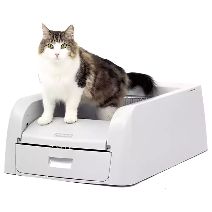 PetSafe ScoopFree Clumping Self-Cleaning Litter Box for Clumping Litter – Superior Odor Control – Never Scoop Litter Again – For Single and Multi-Cat Households