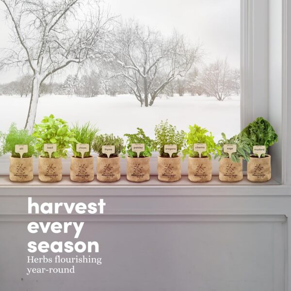 The Planters' Choice 9 Indoor Herb Garden Kit includes everything needed—seeds, pots, and soil—for fresh, flavorful herbs year-round. Perfect and unique gifts for plant lovers: for birthdays, housewarmings, or just because!