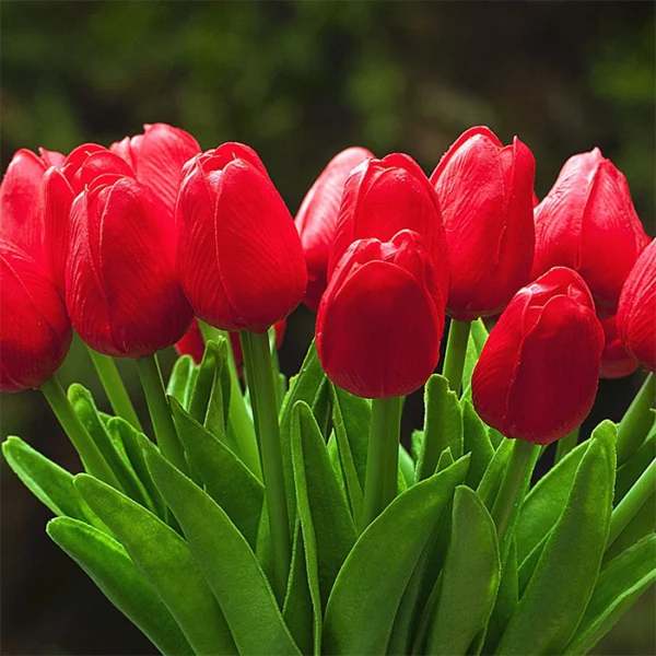 ENOVA HOME Artificial Flowers - Real Touch Tulips: Breathe life into your space! Bring long-lasting floral beauty indoors with ENOVA HOME's realistic artificial tulips. Crafted for a lifelike touch and appearance, these arrangements require minimal care and come in a stylish glass vase. Perfect for home decor, offices, or events! Vibrant & low-maintenance beauty. Artificial Plants.