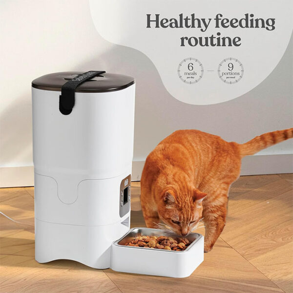 Pitpet Automatic Cat Feeder features a 6L capacity, an LCD display, a desiccant bag for freshness, & a voice recorder to keep food fresh & mealtimes personal. This cat food dispenser is perfect for busy pet owners & promotes healthy eating habits! Smart cat feeder.