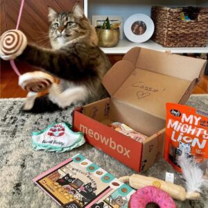 Meowbox, the monthly cat subscription box! Packed with unique toys, healthy treats, and exciting themes, Meowbox keeps cats entertained and happy. Plus, support small businesses and shelters with every meowbox! Cat Supplies. Cat subscription box USA. Cat subscription box Canada.