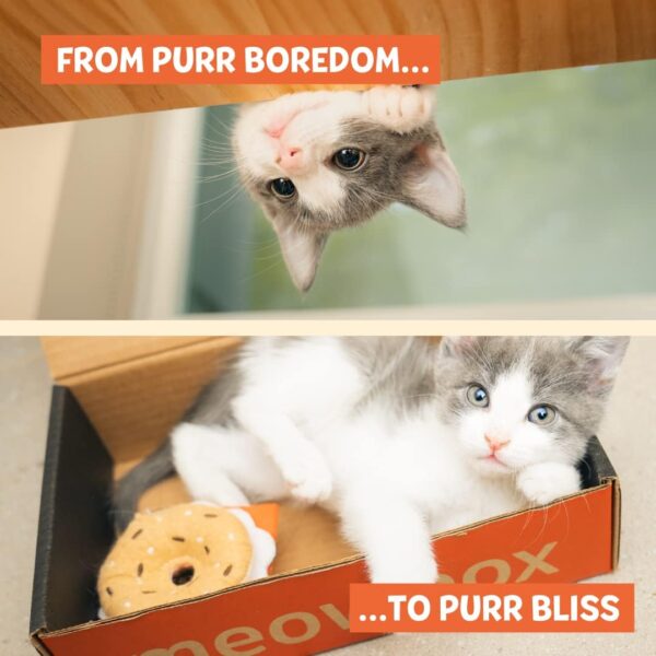 Meowbox, the monthly cat subscription box! Packed with unique toys, healthy treats, and exciting themes, Meowbox keeps cats entertained and happy. Plus, support small businesses and shelters with every meowbox! Cat Supplies. Cat subscription box USA. Cat subscription box Canada.