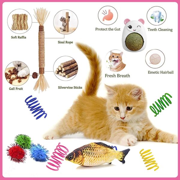 Lobeve Kitten Starter Kit - 30-Piece Set of Cat Essentials includes Cat Litter Box, Cat Toys, Bed, Carrier, Bowls, and More. Best Cat Gifts.