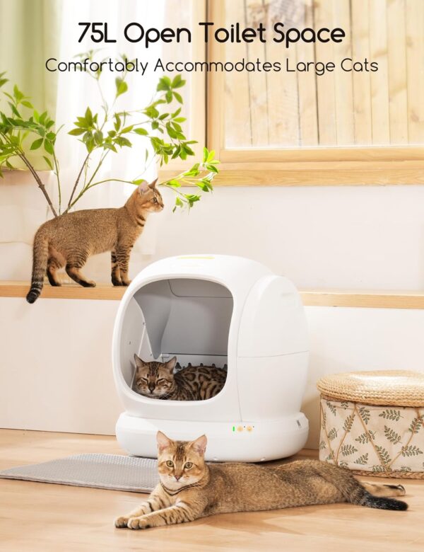 Discover the MeoWant Self-Cleaning Cat Litter Box MW-SC02 75L Extra Large with smart app control, odor removal, and anti-pinch safety.