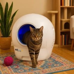 Best affordable automatic litter boxes. We reviewed 33 self-cleaning models across 6 budgets — from $100 to $600. Find the right one for your cat. https://homewell-being.com/best-self-cleaning-automatic-litter-boxes